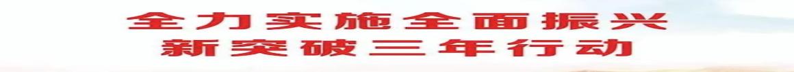 全面振興新突破三年行動(dòng)