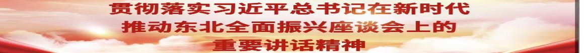 貫徹落實(shí)習(xí)近平總書(shū)記在新時(shí)代推動(dòng)?xùn)|北全面振興座談會(huì)上的重要講話(huà)精神